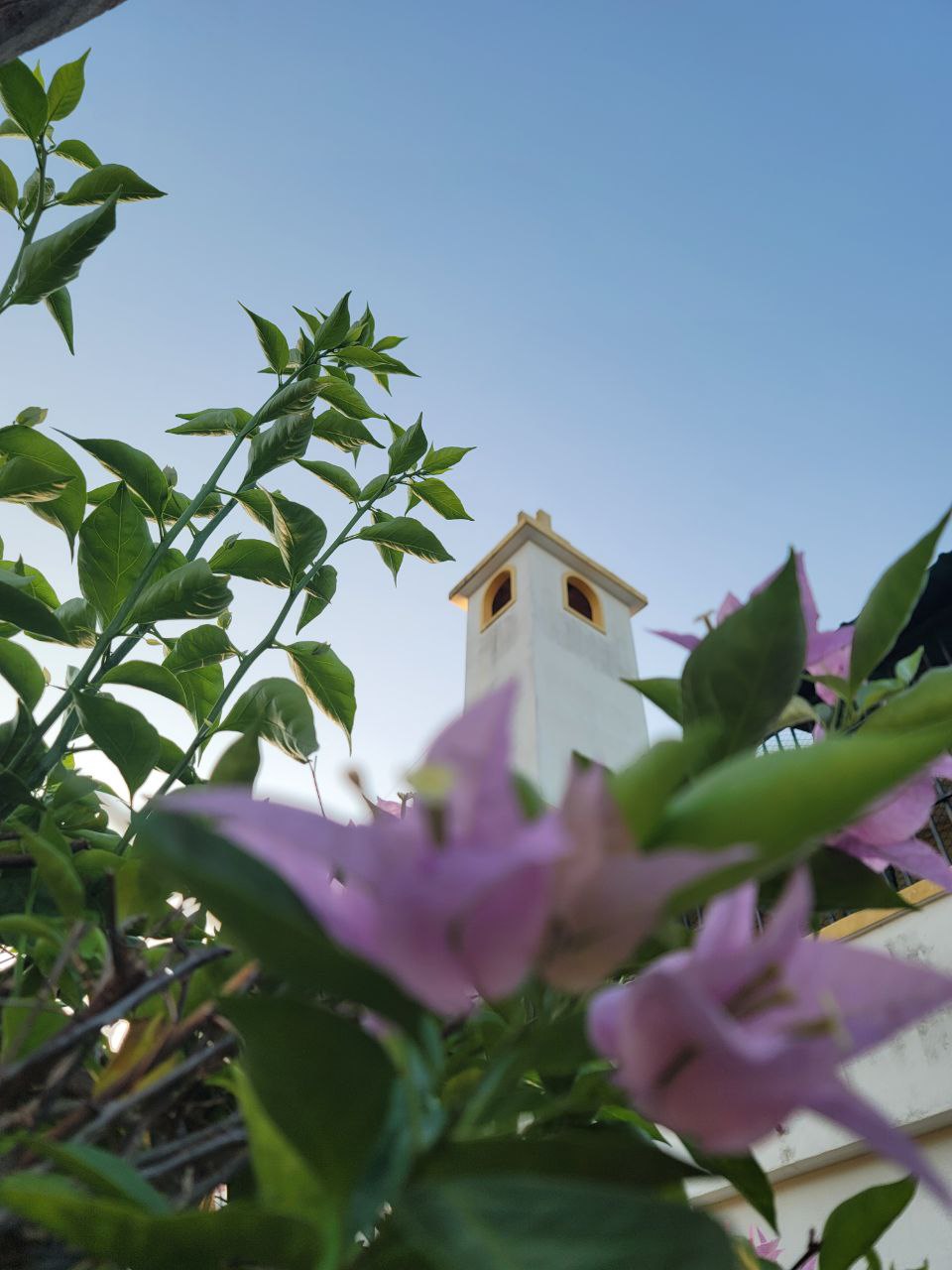 Torre con flores
